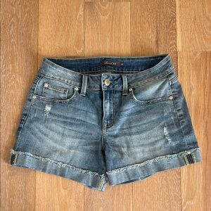 Level 99 Women's size 26 Distressed Denim Shorts - Blue jean shorts.
